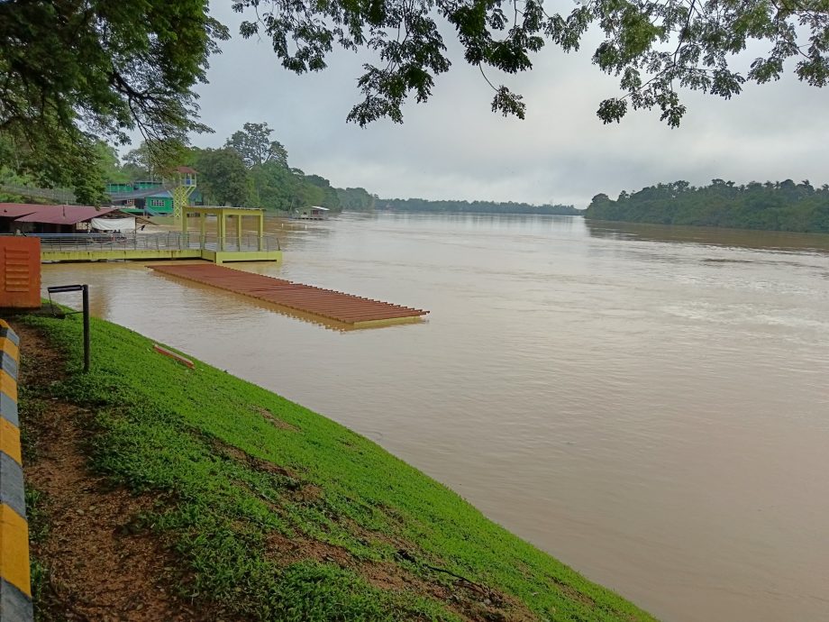 东：近日来连绵不断的雨水，彭亨河河水虽然高涨，但河水水位目前仍处于正常水平。