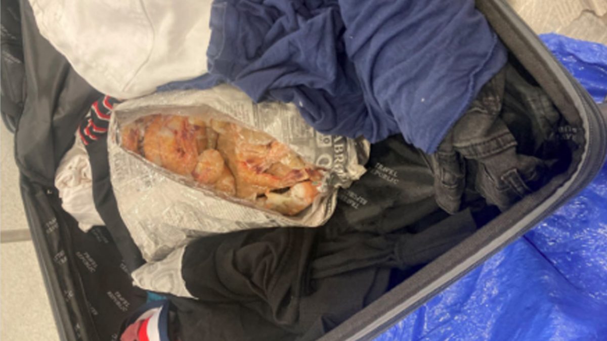 冷涷虾中藏可卡因 男子在纽约肯尼迪机场被捕