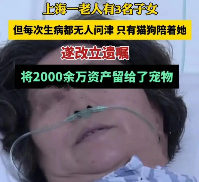  子女不曾探访 她把千万遗产留给毛孩