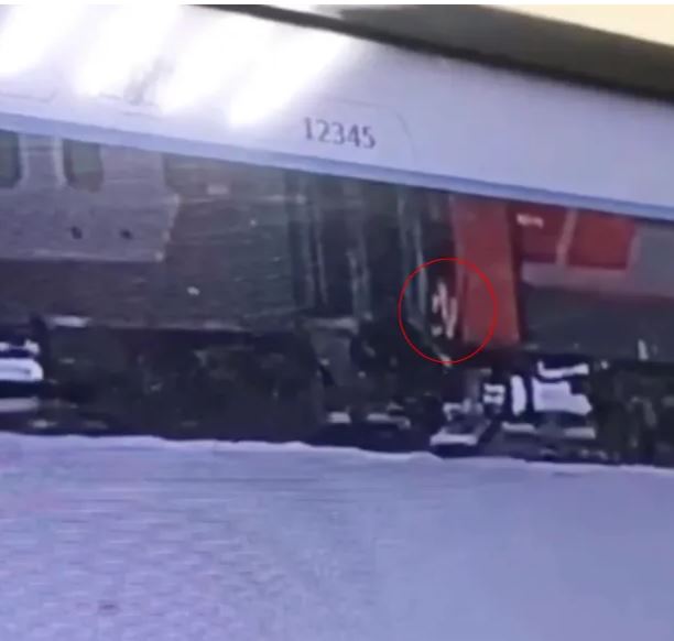 宠物猫遭扔下火车在-30雪地冻死 铁路公司不堪群众压力认错