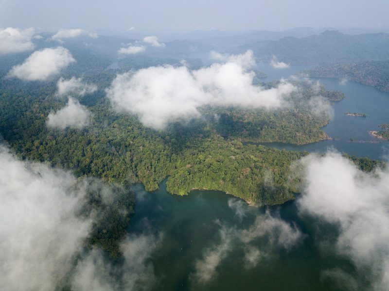 已审（大北马）乌鲁慕达森林连绵豪雨 泥浆水流入蓄水区非伐木所致