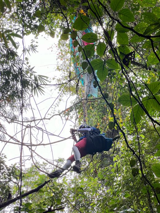 视频 | 爱的迫降剧情重现？韩国男沙巴玩滑翔伞吊挂树上
