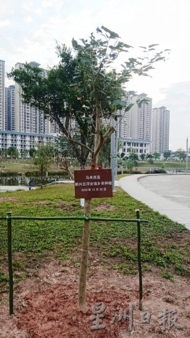 马来西亚新兴云浮会馆在中国新兴县植树