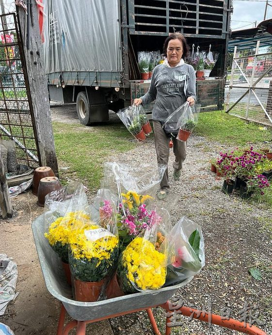 （古城封底主文）【带你去找爱】：年花疗愈的爱