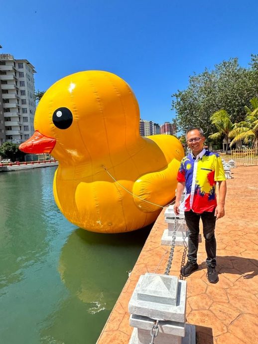 （古城第五版主文）甲河出现“小黄鸭”引热议 甲水上市场料二月营业