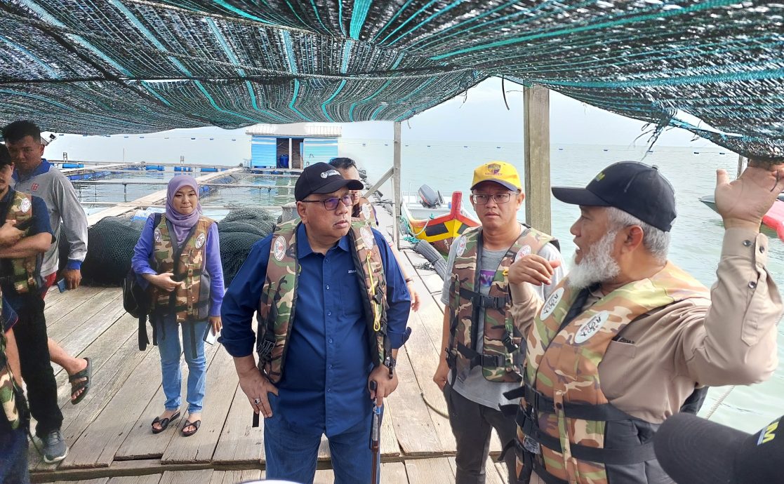 （大北马）祖卡菲里 协助渔民与养殖业  助霹州渔业有好发展