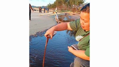 古达邦敖海滩涌黑水 非政府组织促公开硅砂厂环评