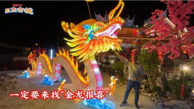 视频 | 青龙宫年景亮起来啦 成为游客一道新春旅游风景线