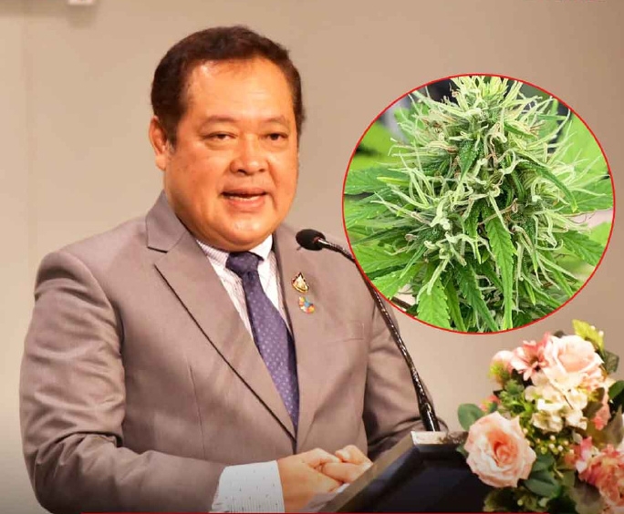 “泰国青少年极易取得大麻” 泰司法部倡大麻暂列毒品 