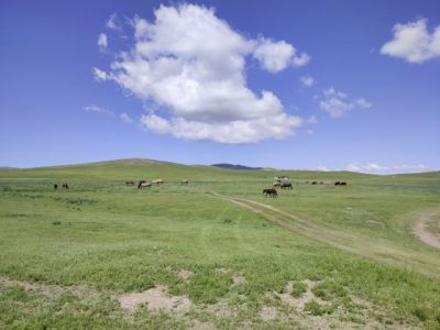 【蒙古】走一回成吉思汗的帝国──蒙古