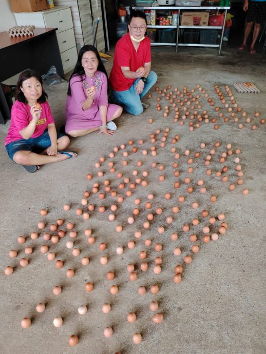 大都会/立春，叶丽娟2小时内立了288个鸡蛋／4图