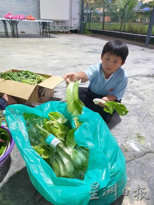 柔：封底：善心美事（2月14日刊）：麻坡爱心冰箱　让食物流向弱势