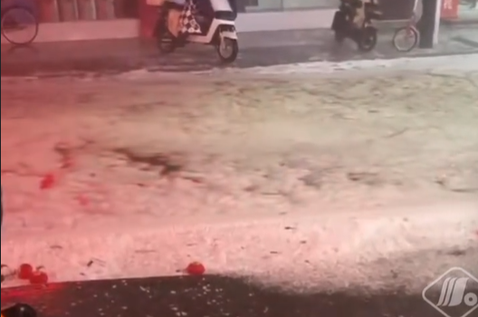 浙江下罕見“雞蛋大”冰雹！街道變冰河　小鳥遭殃慘被砸死