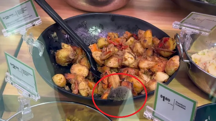 背包客纽西兰超市买晚餐 菜肴盆惊见活老鼠