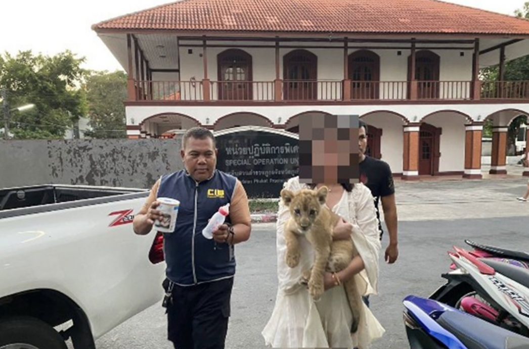 酒店客房养狮子 中国女子被捕