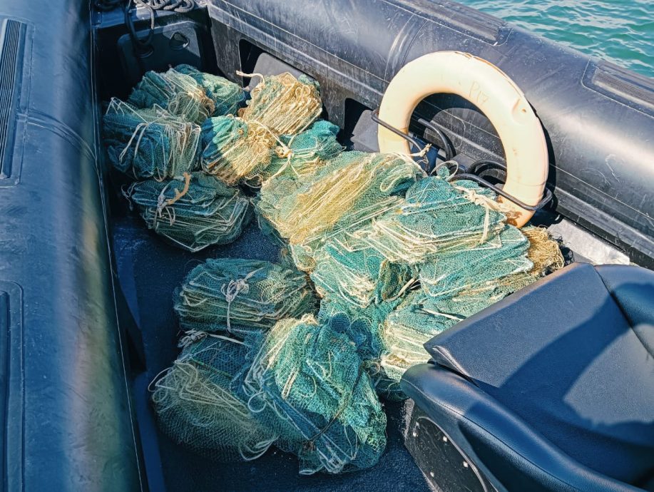 非法捕鱼活动猖獗 霹海事局今年起262套蜈蚣网