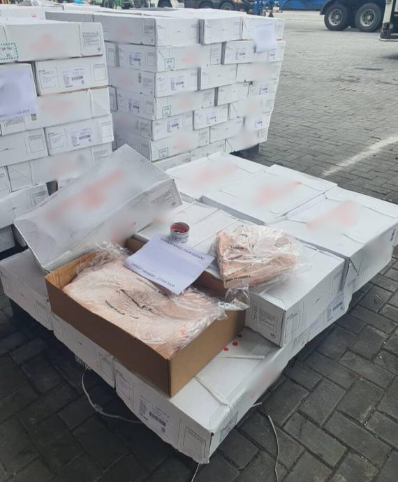 （已签发）柔：检疫局：与申报资料不符 扣查772箱进口猪肉