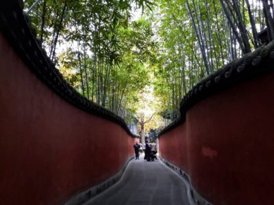 【中国】漫游锦官城，不急不躁，体验人生