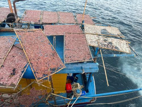 东：越南渔船闯我国捕捞拒检 与海事执法追逐逾1小时