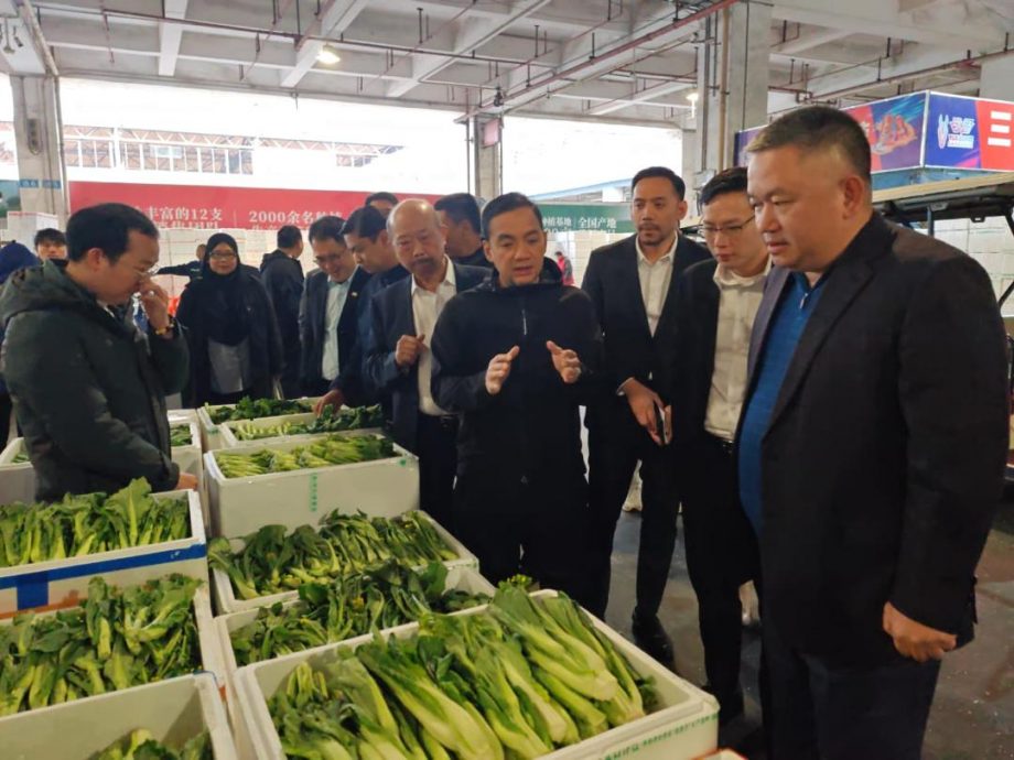 全国：PLS种植与广州江楠 柔佛建一站式区域批发市场