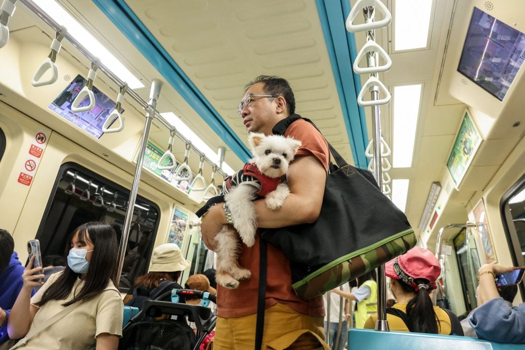 台北捷运推宠物友善列车 可带毛孩上车探索