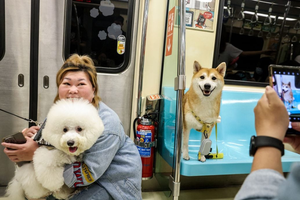 台北捷运推宠物友善列车 可带毛孩上车探索