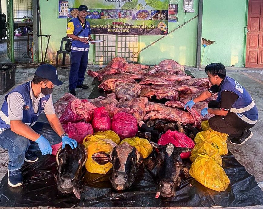 (大北马)兽医局起逾912公斤疑非法屠宰的牛肉