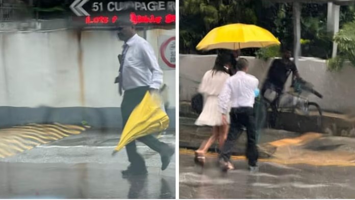 *已签发*柔：狮城二三事：为路人雨中撑伞 保安人员超出职责暖举获网赞