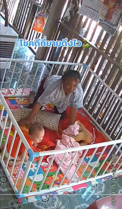 视频 | 眼镜蛇爬进婴儿床超吓人！机警奶奶救起孙子