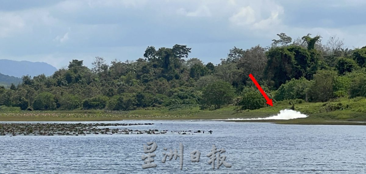 （古城封面主文）酷热无雨 水位退·市民盼当局未雨绸缪