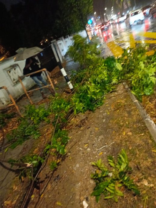 （大北马）昨晚迎来期盼已久大雨，狂风树砸车刮翻神庙遮棚