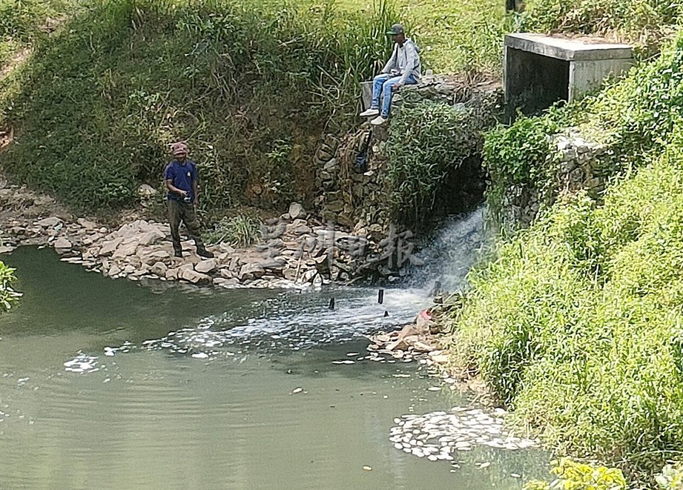 （已签发）柔：林添顺：鱼群死亡   与污水处理厂有关