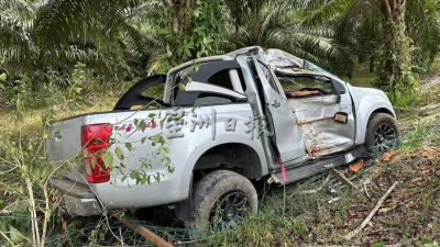 四驱车撞向路边油棕园的树木 华裔司机受伤