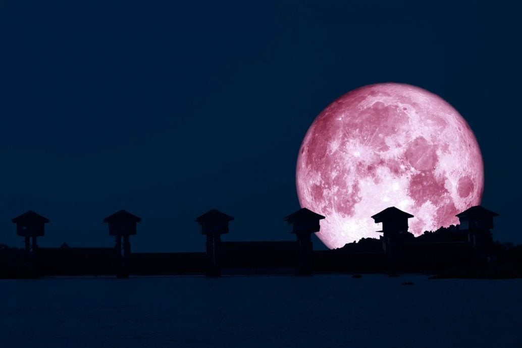 “粉红月亮”超级月亮 今晚7时22分现身夜空