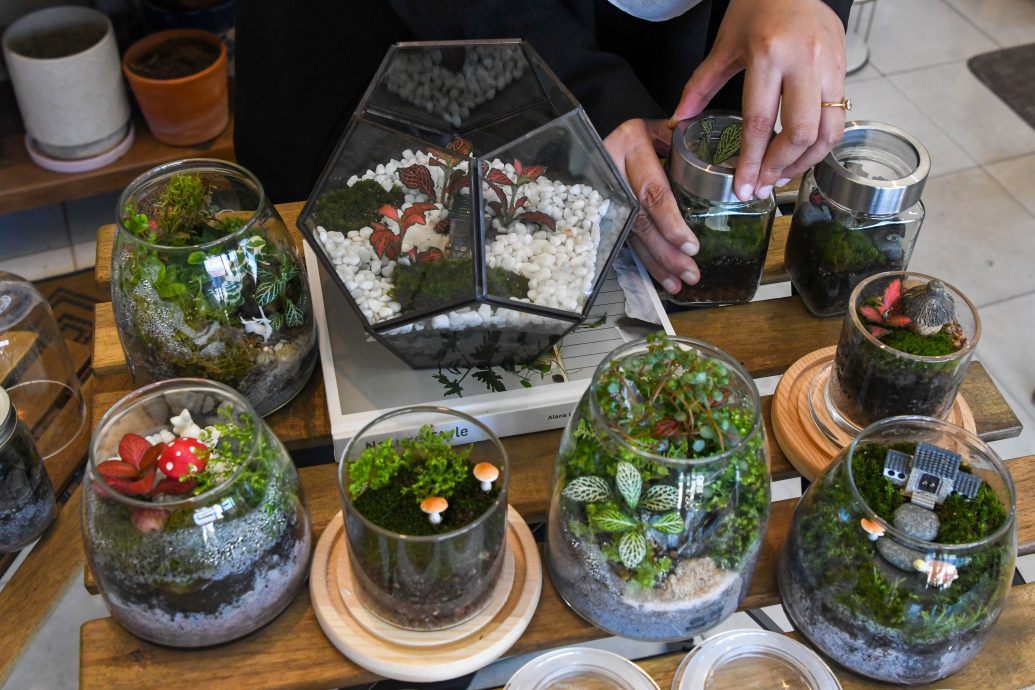 《​东游记》苔藓生态瓶，打造迷你玻璃微景观花园。