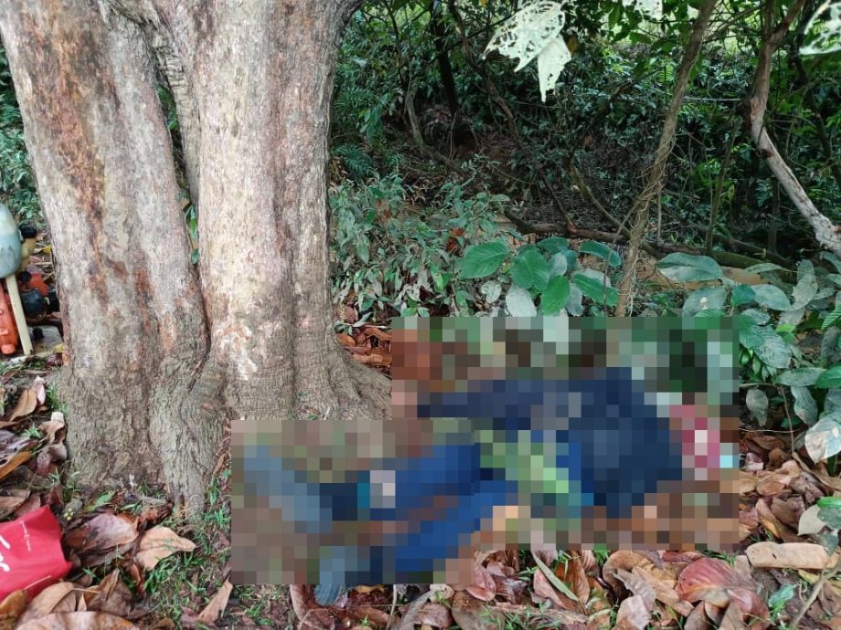 东：印尼籍男子昨天在树下避雨遭闪电击毙