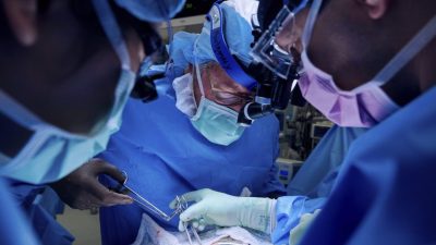 为活体病人移植猪肾 美外科医生再造医疗奇迹