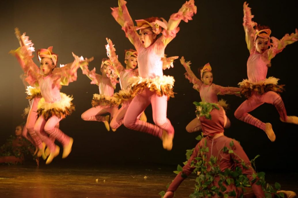 (大北马）新亚小学舞蹈团首次出征大赛就一鸣惊人