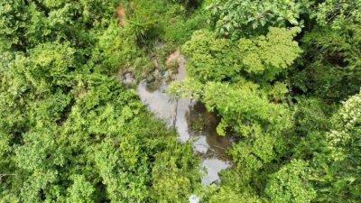 双文丹榴梿河发现油渍  LUAS及时解决水源污染