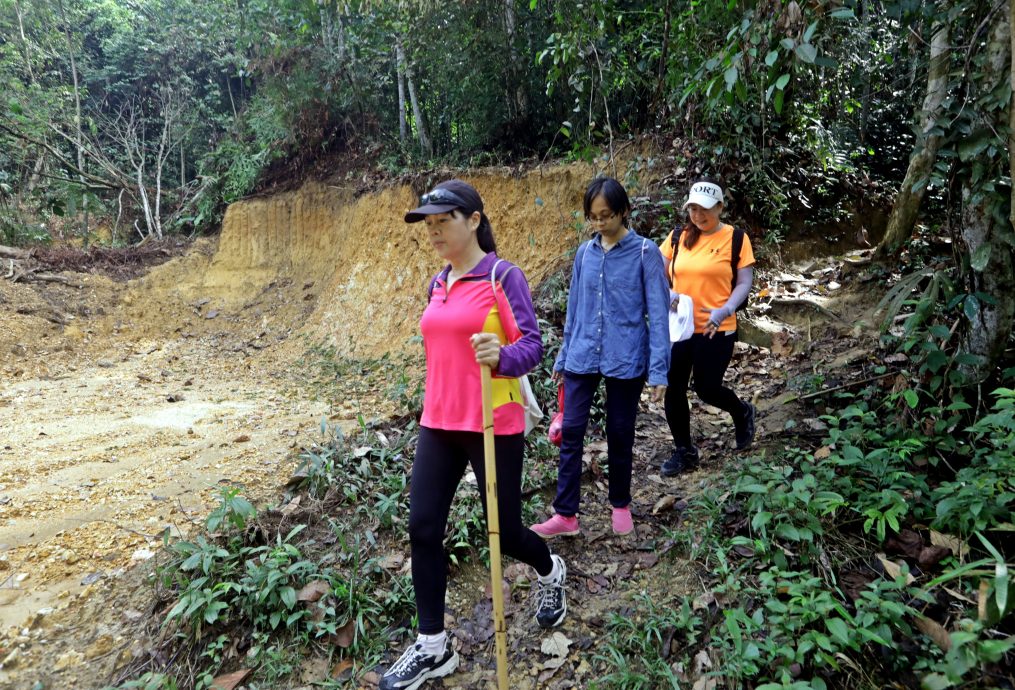 大都会/封面/ 沙登岭走山道疑似被非法开发/9图