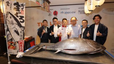 蓝鳍金枪鱼132公斤  日料餐厅开鱼仪式创纪录