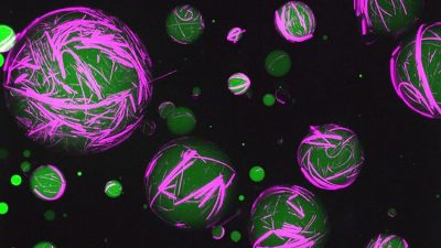 研究人员造出类似活细胞的人造细胞