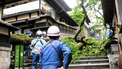 日本京都清水寺旁产宁坂 樱花树倾倒压伤一人