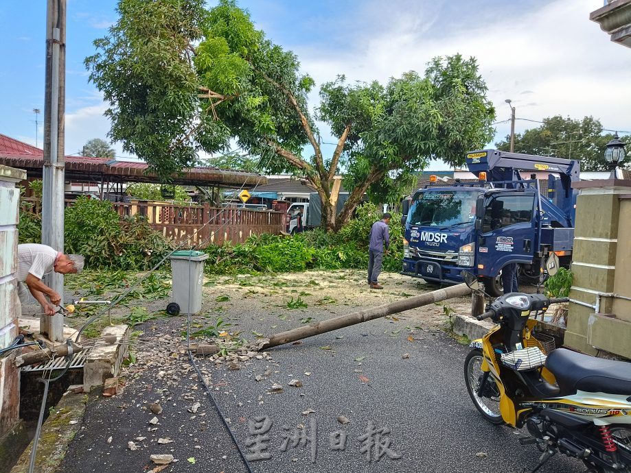 柔： 午后掀暴风雨  树倒屋顶被吹翻