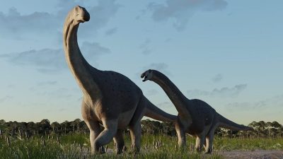 研究：恐龙活跃地球逾亿年演化成功 成长快速是关键