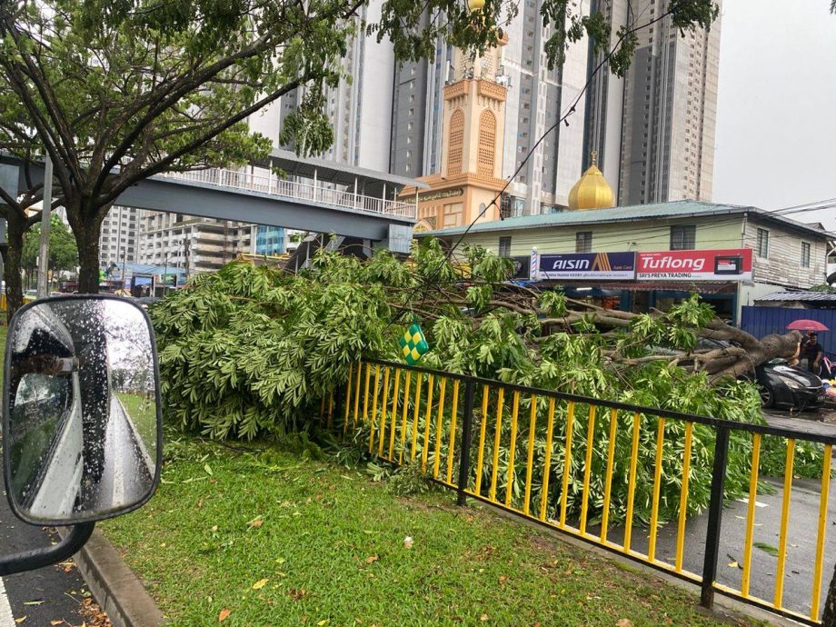 雪隆多区水灾树倒 多路现车龙