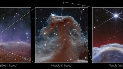 韦伯望远镜捕捉清晰马头星云影像   一览”马鬃“构造
