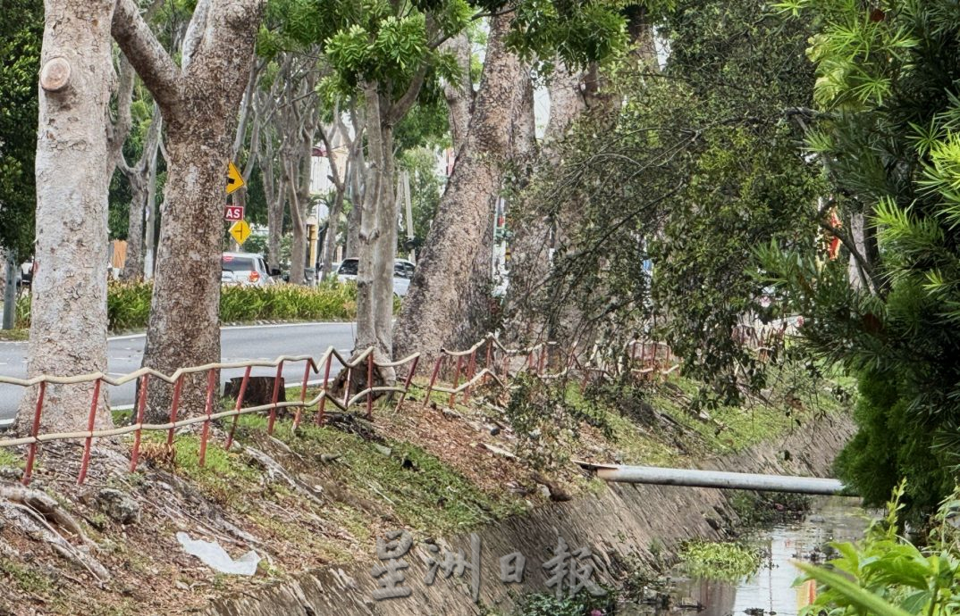 （古城第三版主文）默迪卡花园大路栏杆“凹形”新设计迎旅游年？