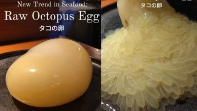 视频| 本地日本餐厅推生章鱼卵 网民：不必什么都拿来吃吧
