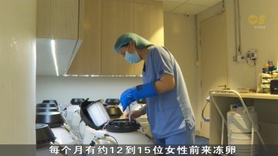 新加坡自愿进行选择性冻卵政策开跑9个多月 受访医生：更多30岁以下女性准备冻卵